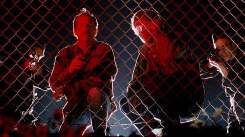 Jenseits der weißen Linie Bild 5