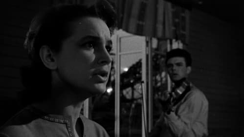 Die Steinblume Bild 1