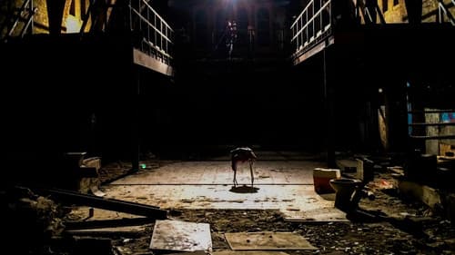 Mad in Belgium Bild 1