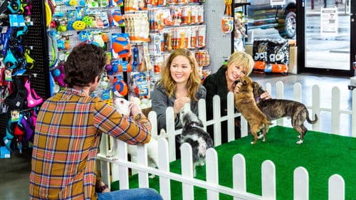 My Boyfriends' Dogs Bild 6