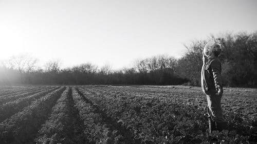 El perro que no calla Bild 3