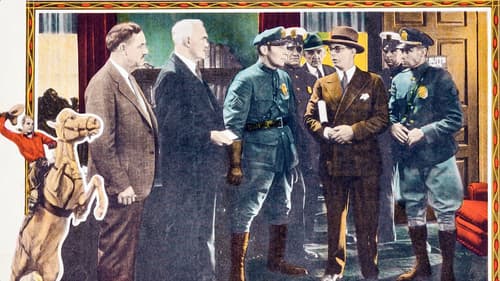 Courtin' Wildcats Bild 1