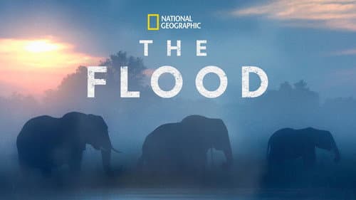 Die Flut - Okavango unter Wasser Bild 2