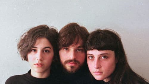 Os Pássaros de Massachusetts Bild 1