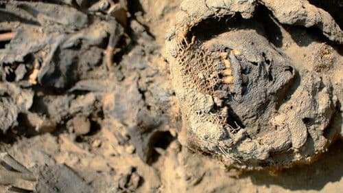 Lost Cities: The Great Flood Bild 6