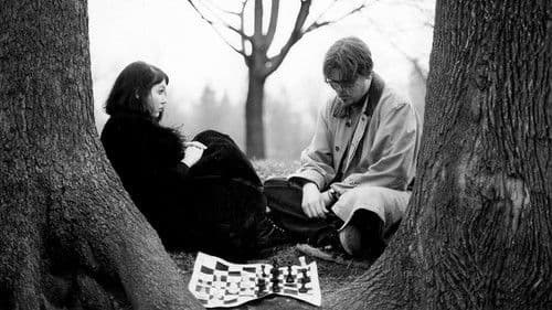 Die Illusion der Verzweiflung Bild 1