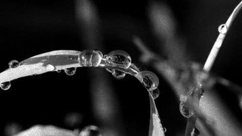 Hypnosis Display Bild 4