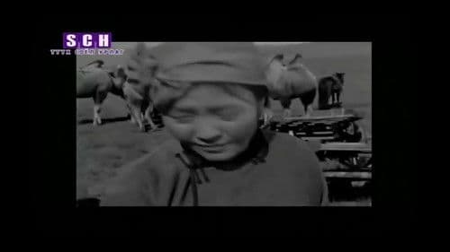 Хүргэн хүү Bild 5