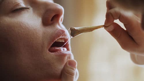 The Hand that Feeds Bild 1