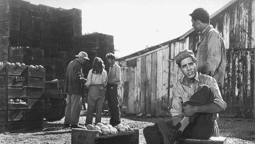 Gnadenlos gehetzt Bild 4