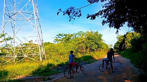 Árvores e Bicicletas Bild 1