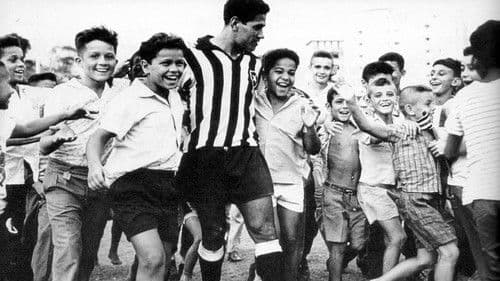 Garrincha, Alegria do Povo Bild 1