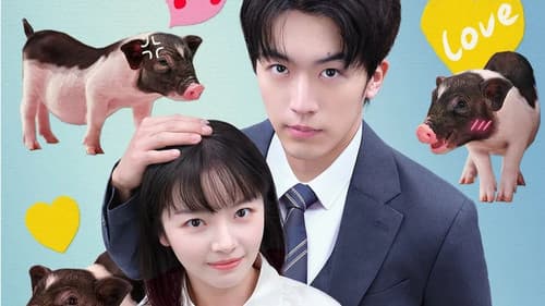 我的老板是小猪 Bild 1