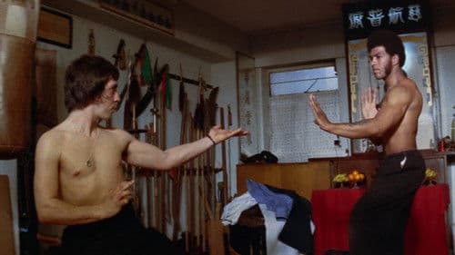 Bruce Lee - Der geheimnisvolle Tod Bild 2