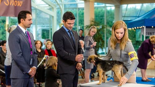 Unleashing Mr. Darcy Bild 4