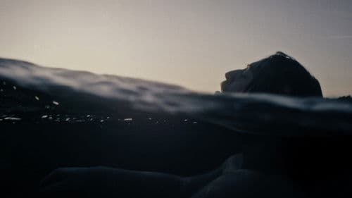 Anche il riccio respira Bild 1