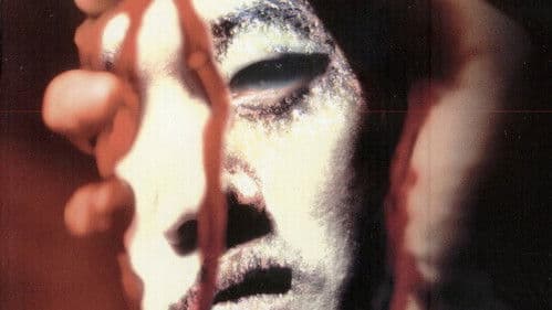 Into the Mirror Bild 2