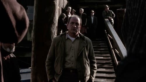 Schnee, der auf Zedern fällt Bild 3