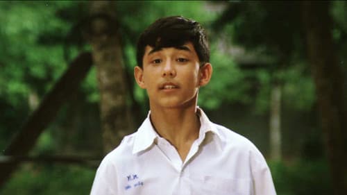 ผีเสื้อและดอกไม้ Bild 2