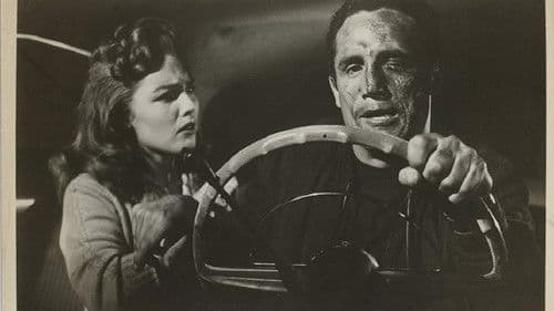 The Young Captives Bild 1