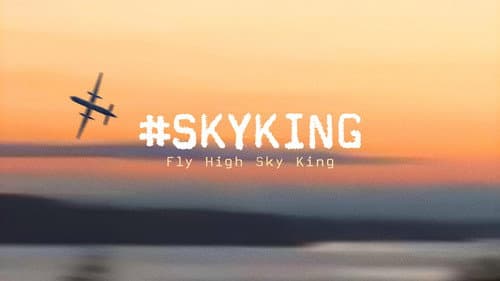 #SKYKING Bild 1