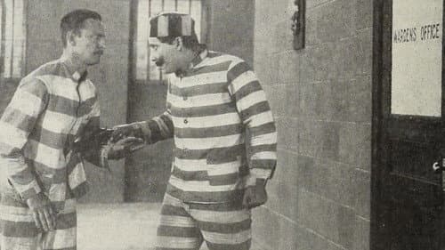 The Man from Mexico Bild 1