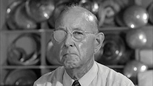 Lady in a Cage Bild 6