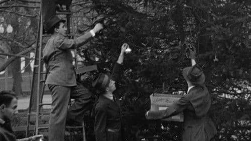 The National Christmas Tree, A Century of Celebration Bild 6