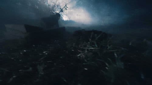 Anjing-Anjing Menyerbu Kuburan Bild 1