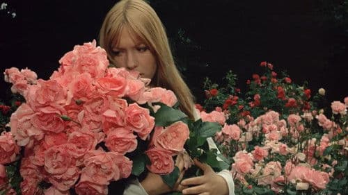 Die Sünde des Abbé Mouret Bild 8