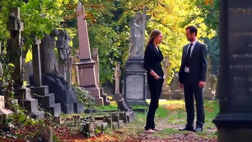 The Days Inbetween Bild 1