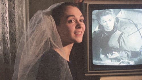 The Cartographer's Girlfriend Bild 3