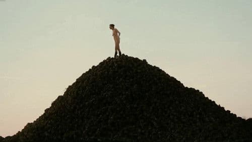 En avant, calme et droit Bild 1