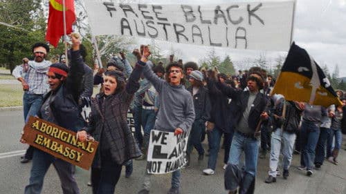 Still We Rise Bild 1