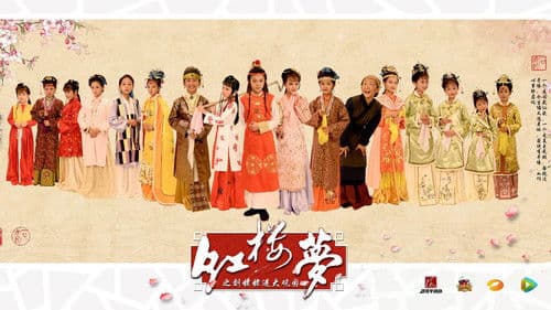 小戏骨：红楼梦之刘姥姥进大观园 Bild 1