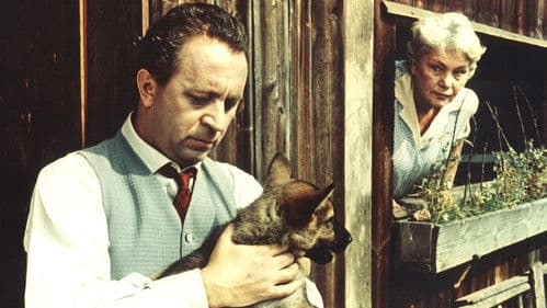 Táto sežeň štěně Bild 1