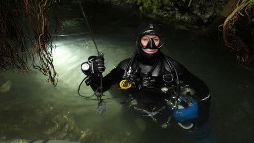 Will Smith - Wundersame Welt Bild 4