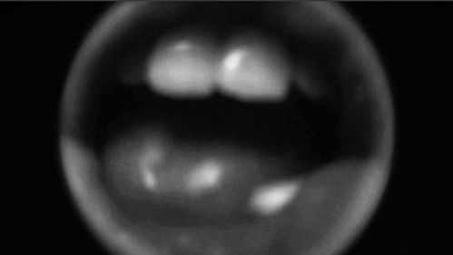 плакать при свете (cry in the light) Bild 1