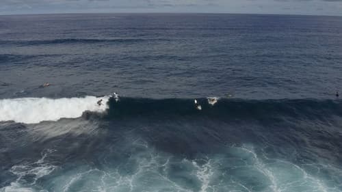 Aloha Surf Hotel Bild 7