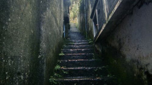 Mascarade: Origin Story Bild 1