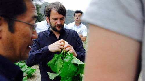 Ants on a Shrimp Bild 6