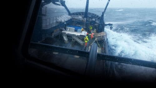 Im Angesicht des Sturms Bild 7