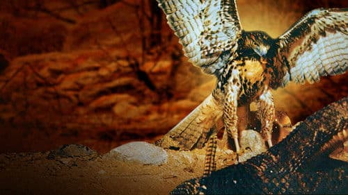 Die Wüste lebt Bild 4