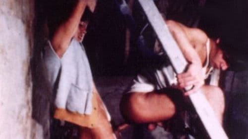 Charmants Cousins Bild 4