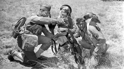 The Negro Soldier Bild 2