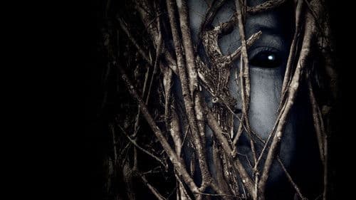 Behind the Trees Bild 4