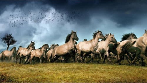 Die neue Wildnis Bild 1