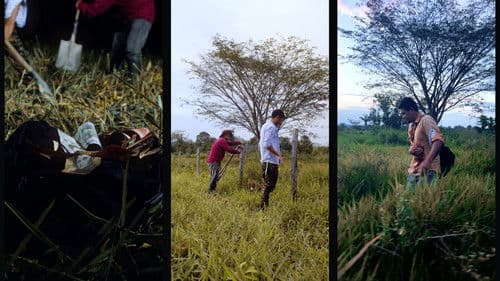 Malas Tierras Bild 1