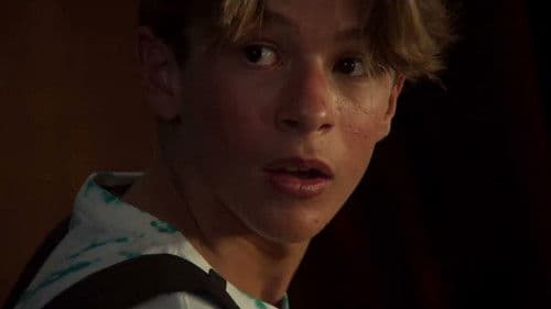 Le variabili dipendenti Bild 5