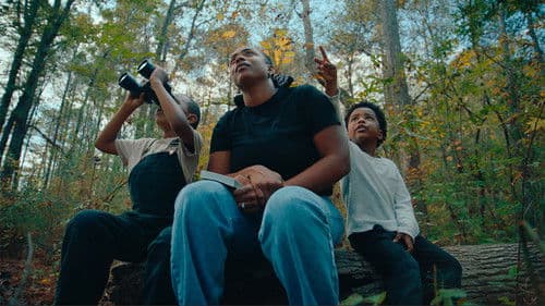 The Boys and the Bees Bild 2